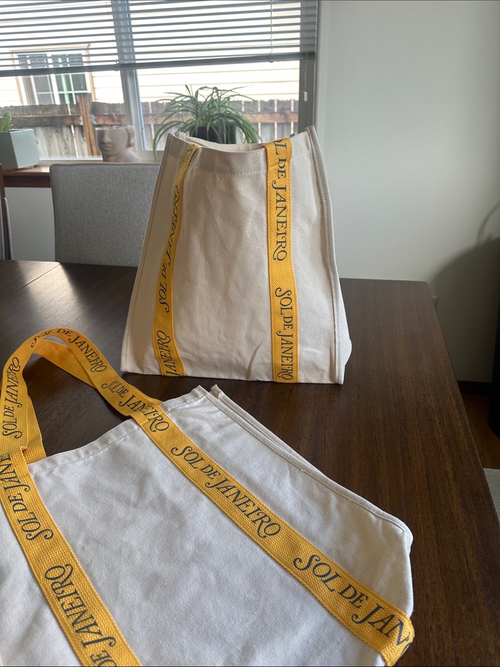 RARE Sol de Janeiro Canvas Tote Set (2) ☀️💛